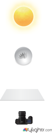 REFLECTOR BASIC by Guest User