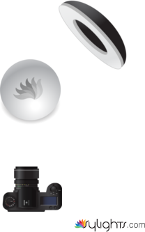 hatdog by Guest User