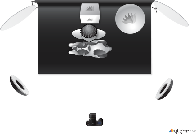 ARANAS_AND_DOG by Guest User