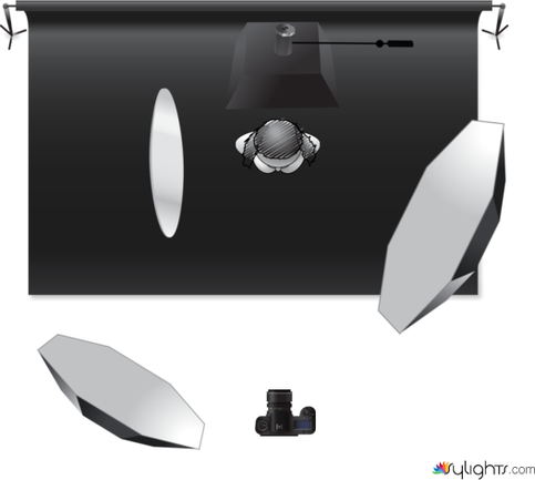 Esquema by Guest User