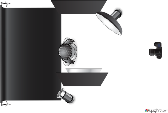 LOOP STROBE by Guest User