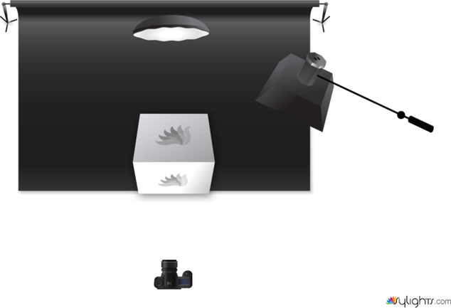 plate 5 by Guest User