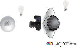 Final Plate by Guest User