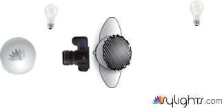 Final Plate by Guest User