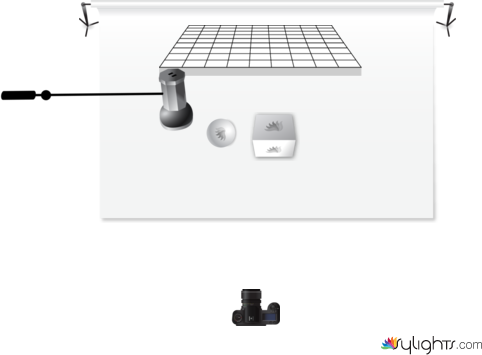 Sustainability Wardrobe Essential by Guest User