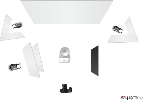 Sustainability New In by Guest User