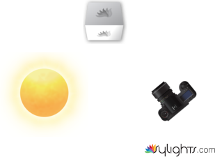 Shoes  by Guest User