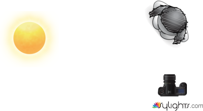 portrait - 3 by Guest User