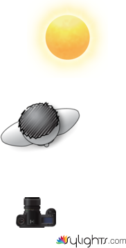 portrait - 5 by Guest User