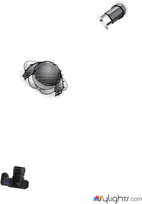 kaylee dillabough by Guest User