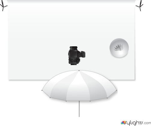 1234567 by Guest User