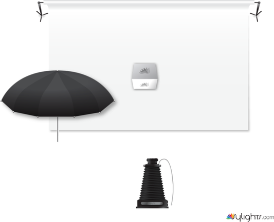 1234567 by Guest User