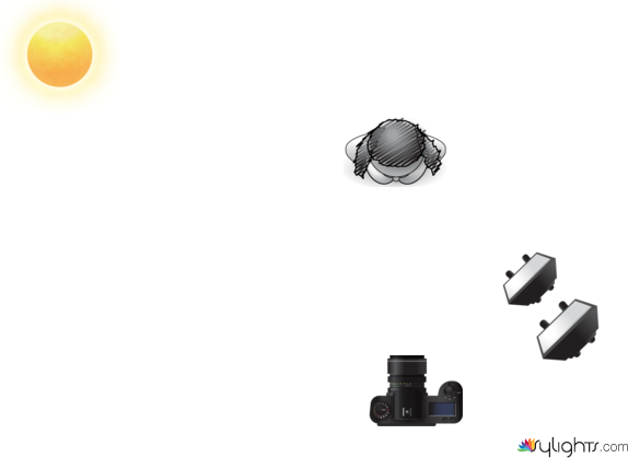 2支熱靴閃燈 by Guest User