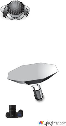 Outdoor Flash 5 by Guest User