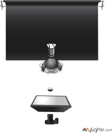 Beauty Light by Guest User