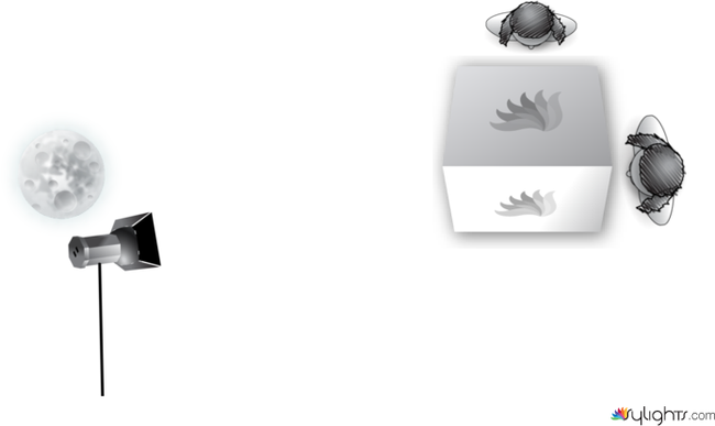 sadfsfd by Guest User