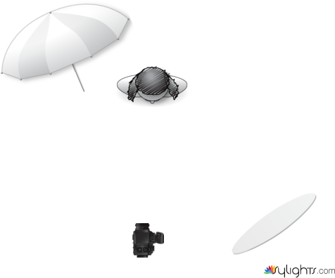 sdfsdf by Guest User