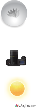 太陽順光 by Guest User