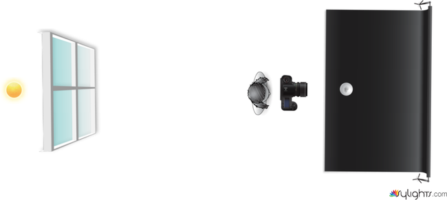 PLANTA DE LUCES by Guest User