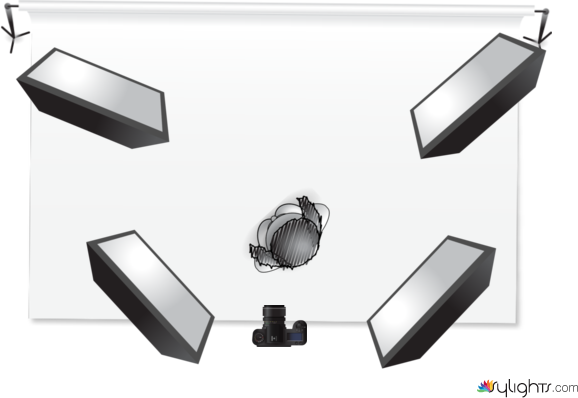 ryjrykrk by Guest User