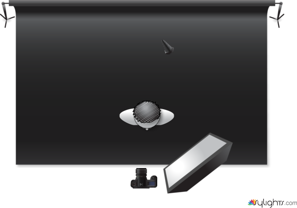 tyuetyi by Guest User