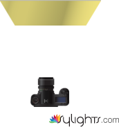 asdasd by Guest User