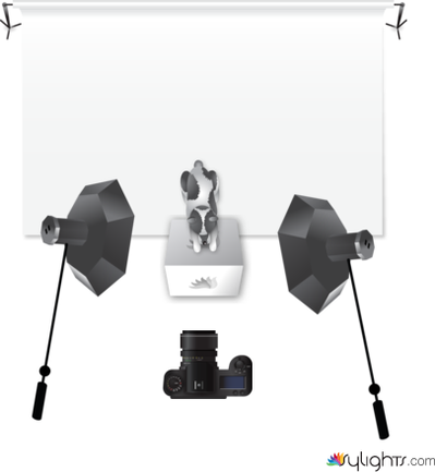 el primero by Guest User