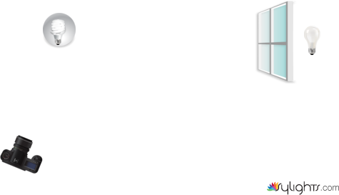 Planta by Guest User