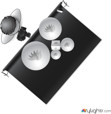 Planta by Guest User