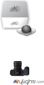 ENVIRONMENT by Guest User