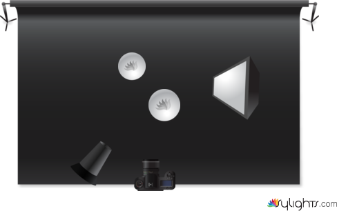 fejfwhrbf by Guest User