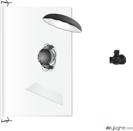 lavinia by Guest User