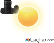 skfjbs by Guest User