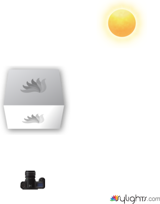 The Van  by Guest User