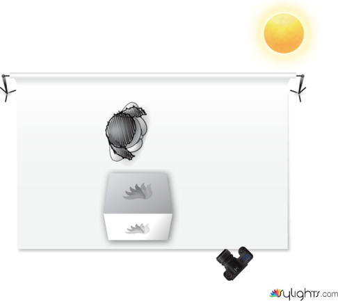 Environmental by Guest User