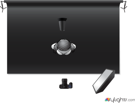 Image 2 by Guest User