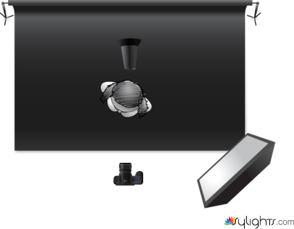 image 3 by Guest User