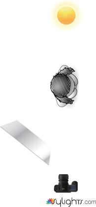 018-diagram-jc by Guest User