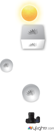 Gardens by Guest User