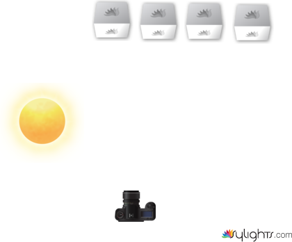 dsfewgfw by Guest User