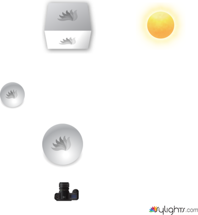 Garden by Guest User