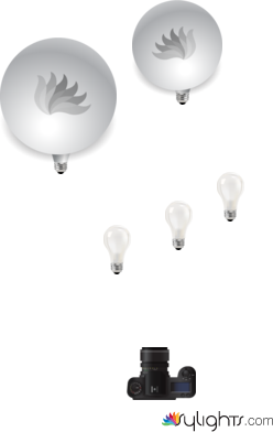 Kelpies by Guest User