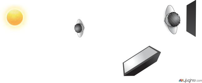 Planta by Guest User