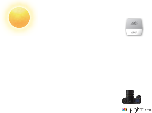 wwrterry by Guest User