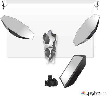 foto 1 by Guest User