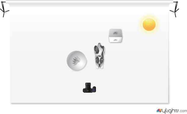 sdfghjk by Guest User