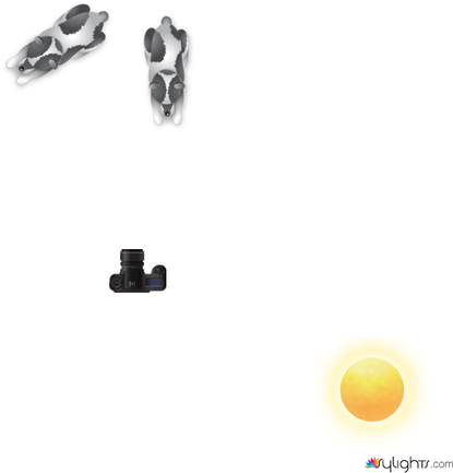 u[ou[9u[98y9 by Guest User