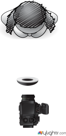 Euphoria 2 by Guest User