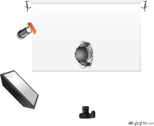 immagine 3 by Guest User