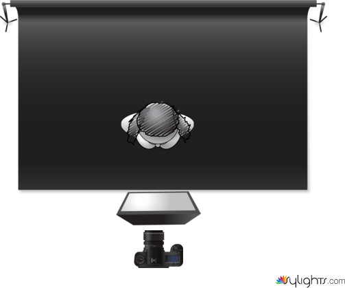 Rumple by Guest User